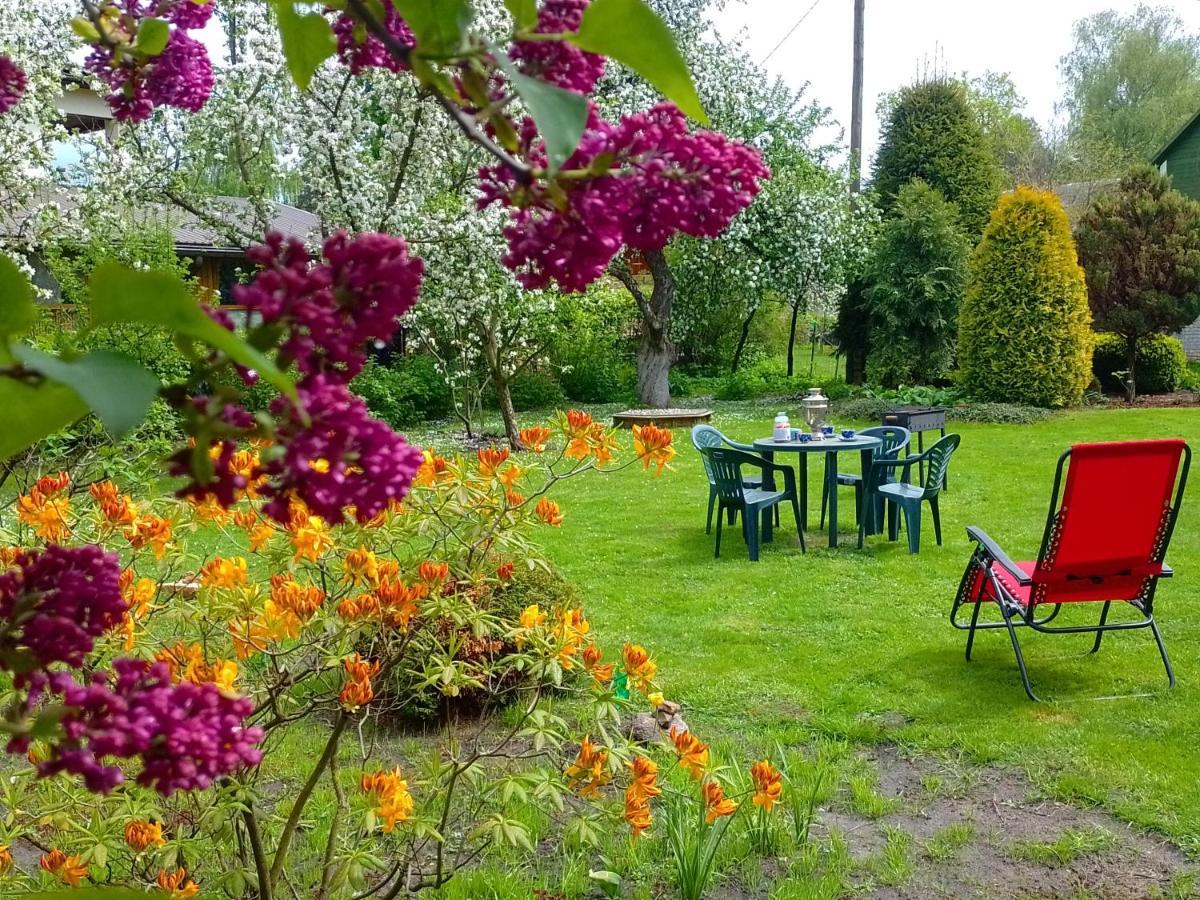 House, Garden & Sauna. Free Parking. Train Stop-200 M. Sea-1 Km. Jūrkalne Eksteriør bilde