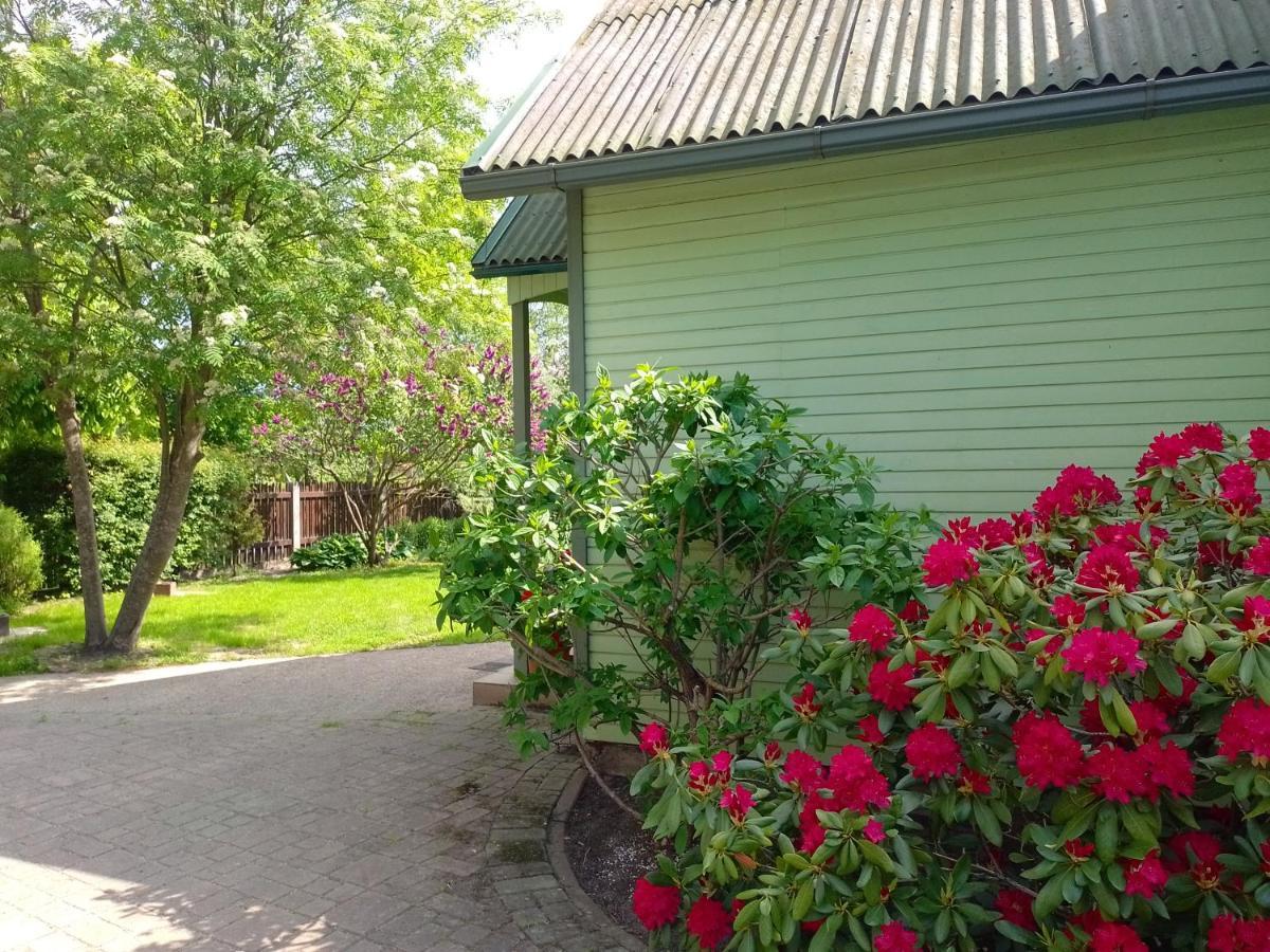 House, Garden & Sauna. Free Parking. Train Stop-200 M. Sea-1 Km. Jūrkalne Eksteriør bilde